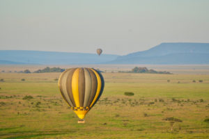 Classic East African Safari