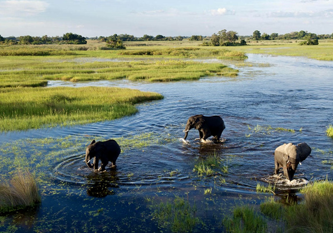 Family Safari in Botswana