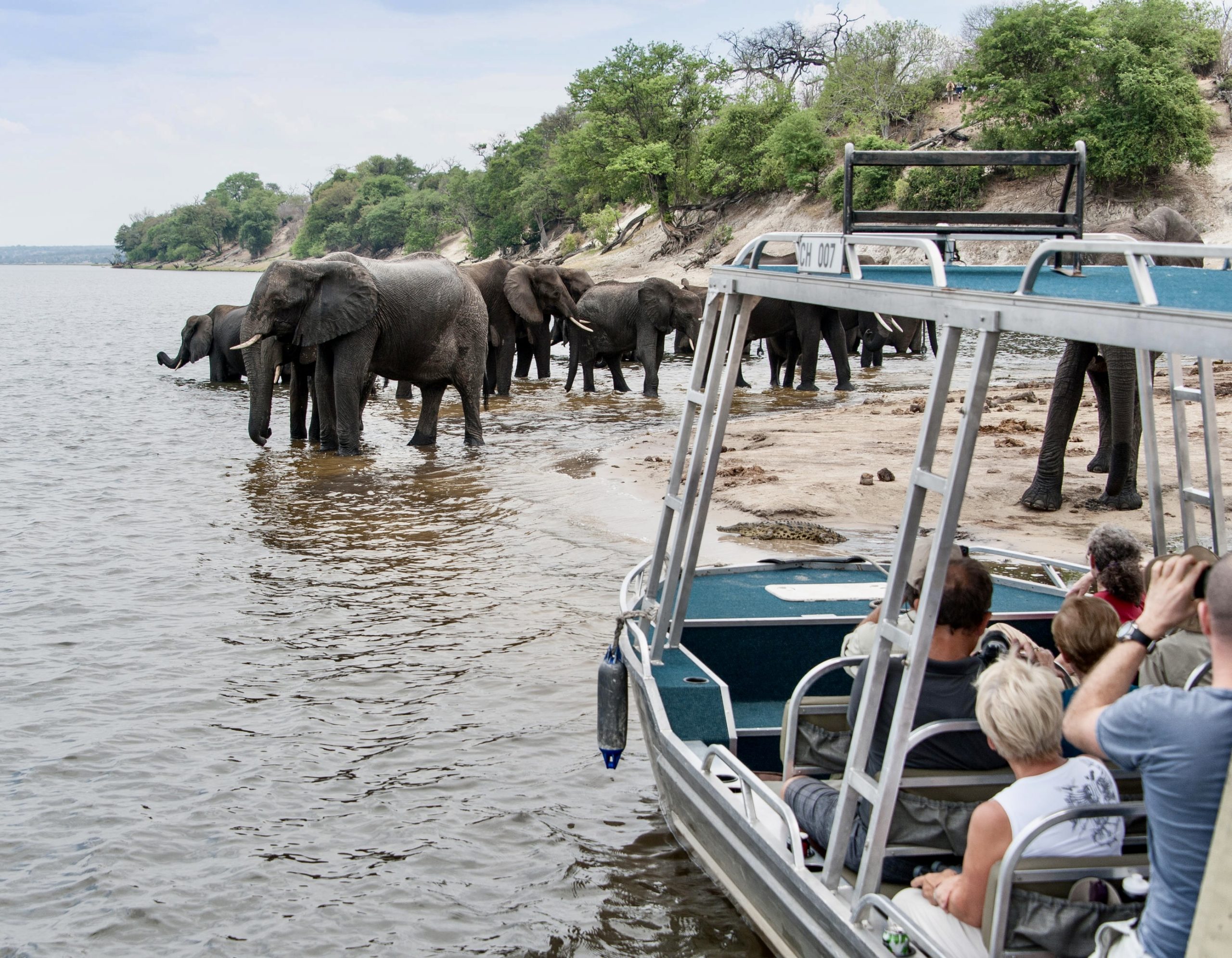 Etosha National Park, Caprivi Region, Chobe River, and Victoria Falls