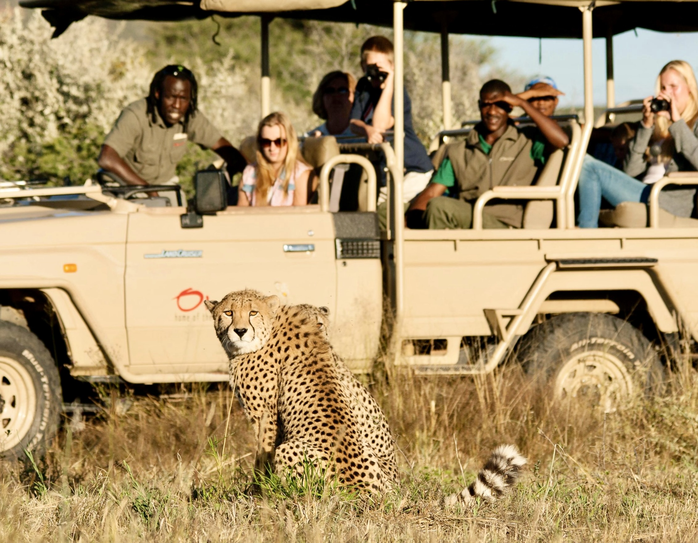 Victoria Falls, Botswana, and Namibia Luxury Safari