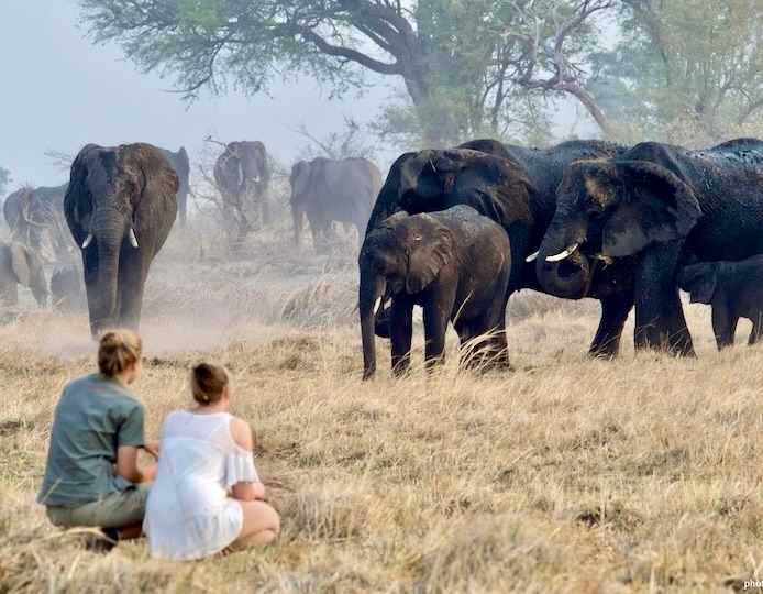 Victoria Falls, Botswana, and Namibia Luxury Safari