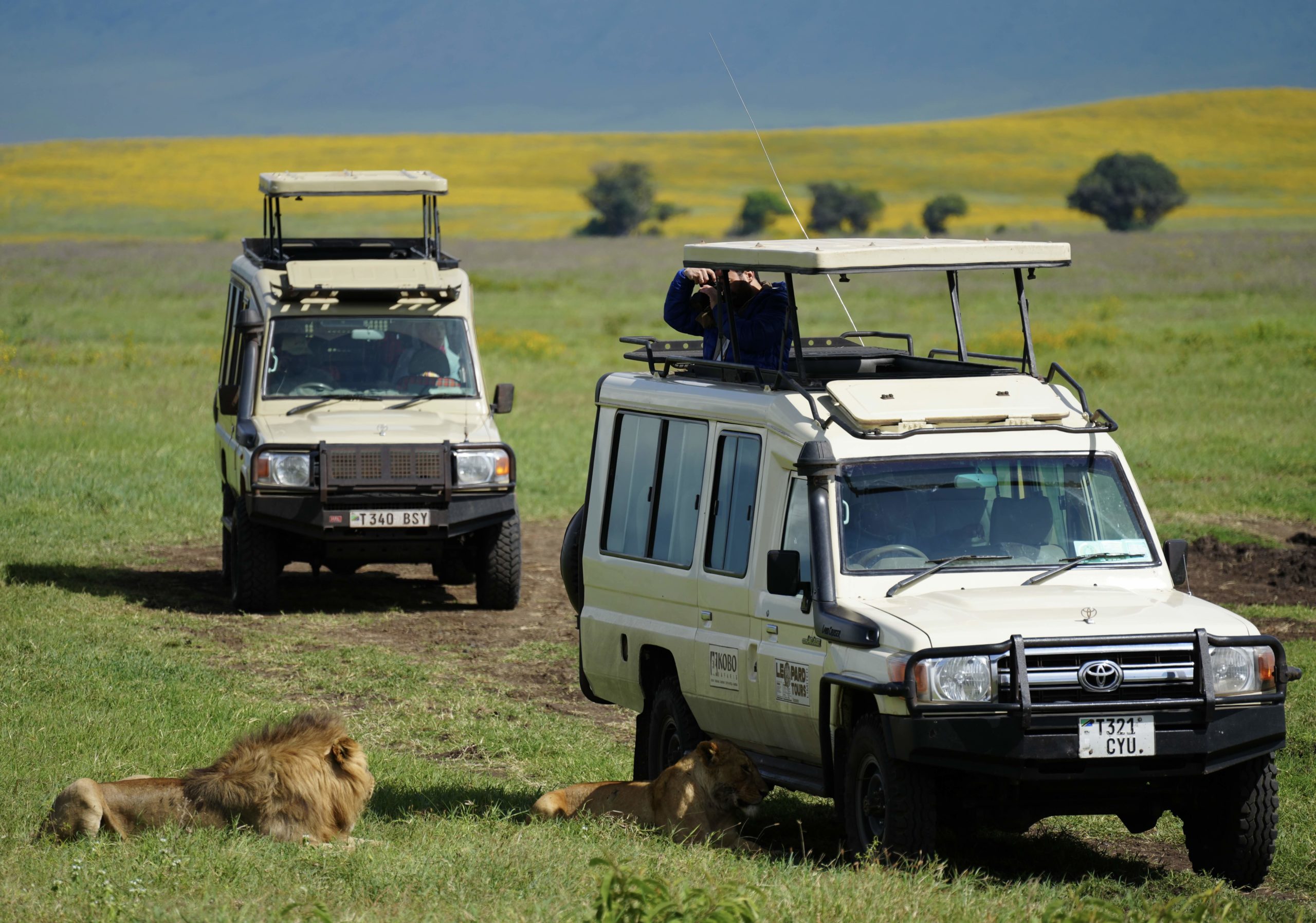 The Great East African Safari