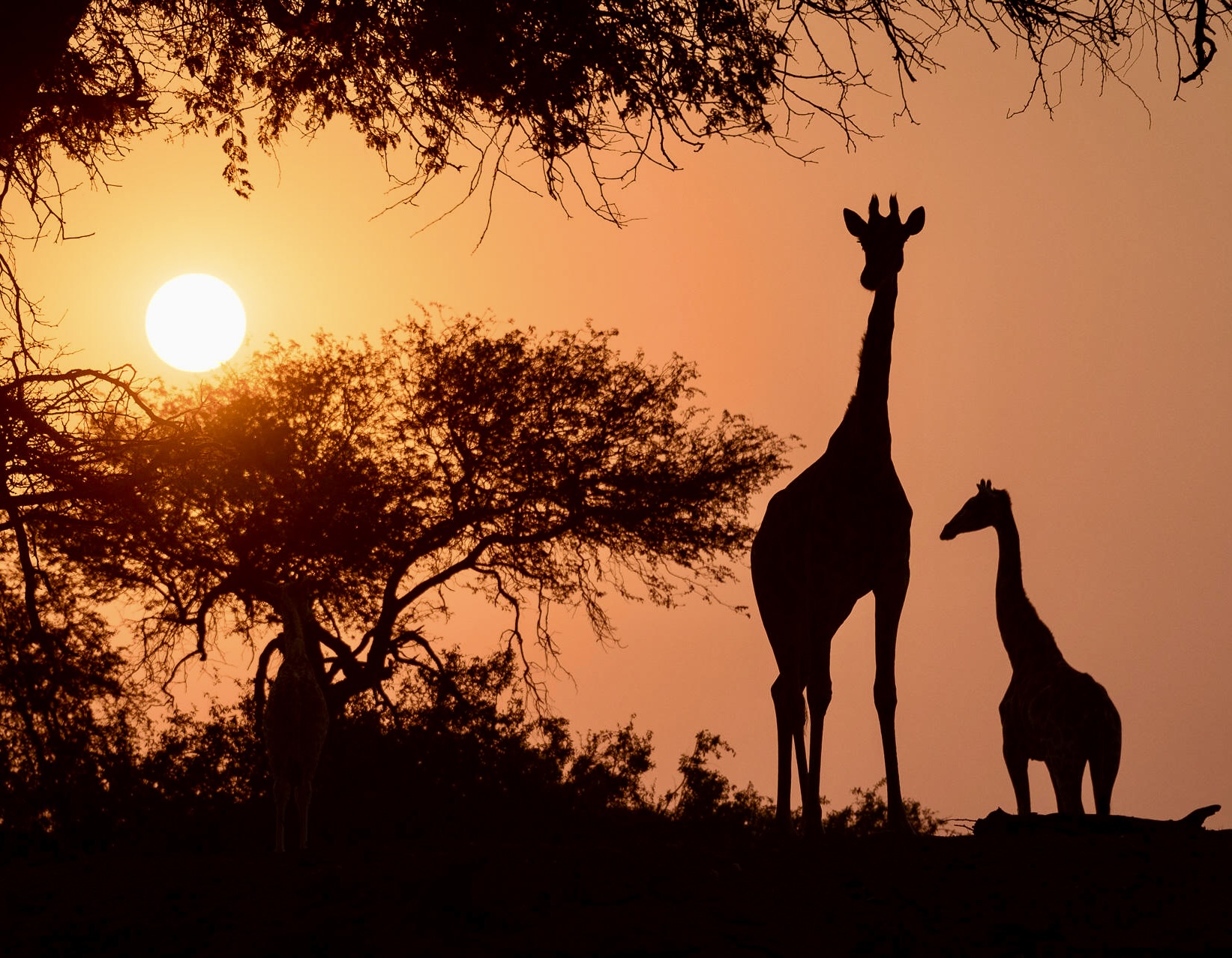 Taste of Namibia Safari