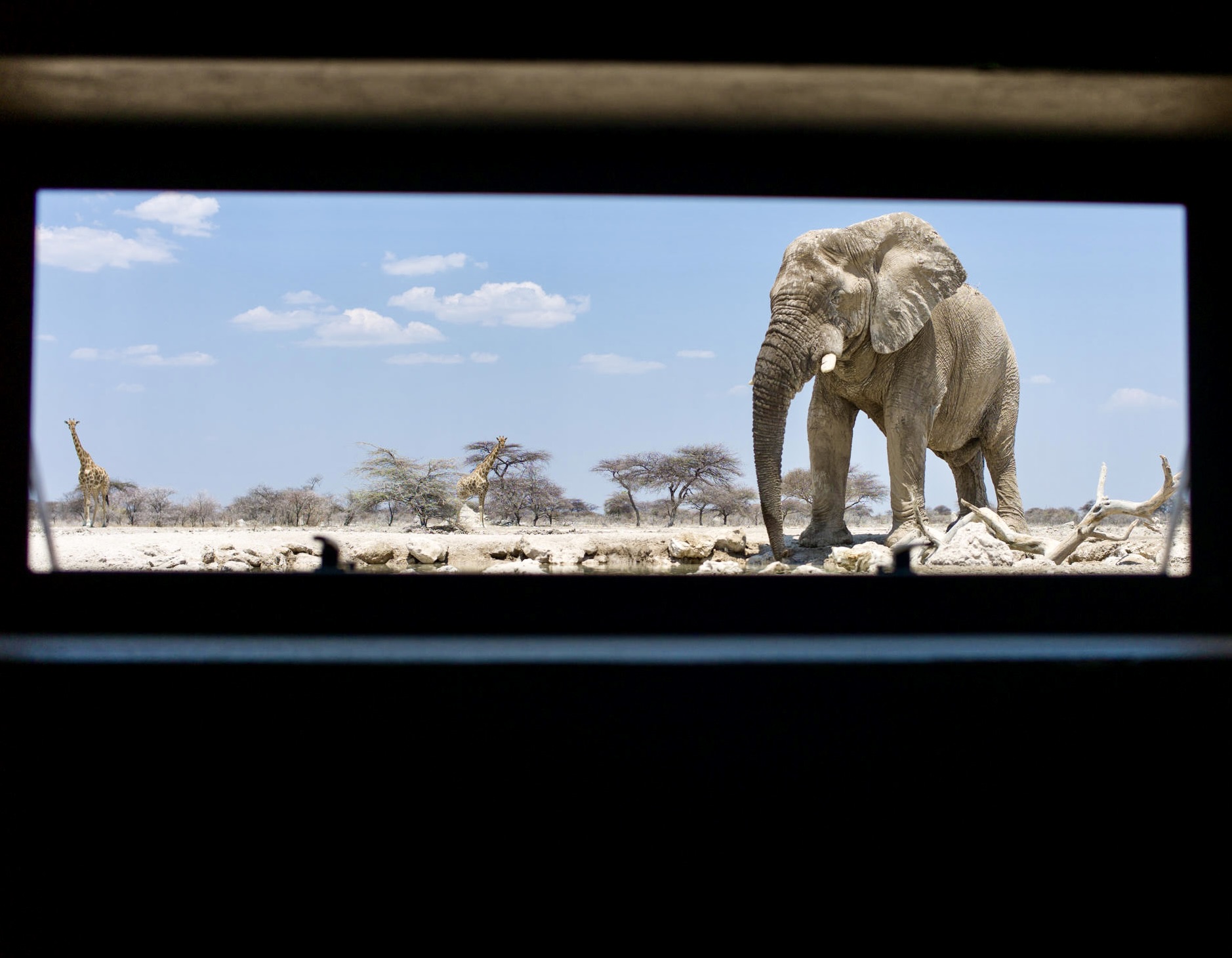 Etosha National Park, Caprivi Region, Chobe River, and Victoria Falls