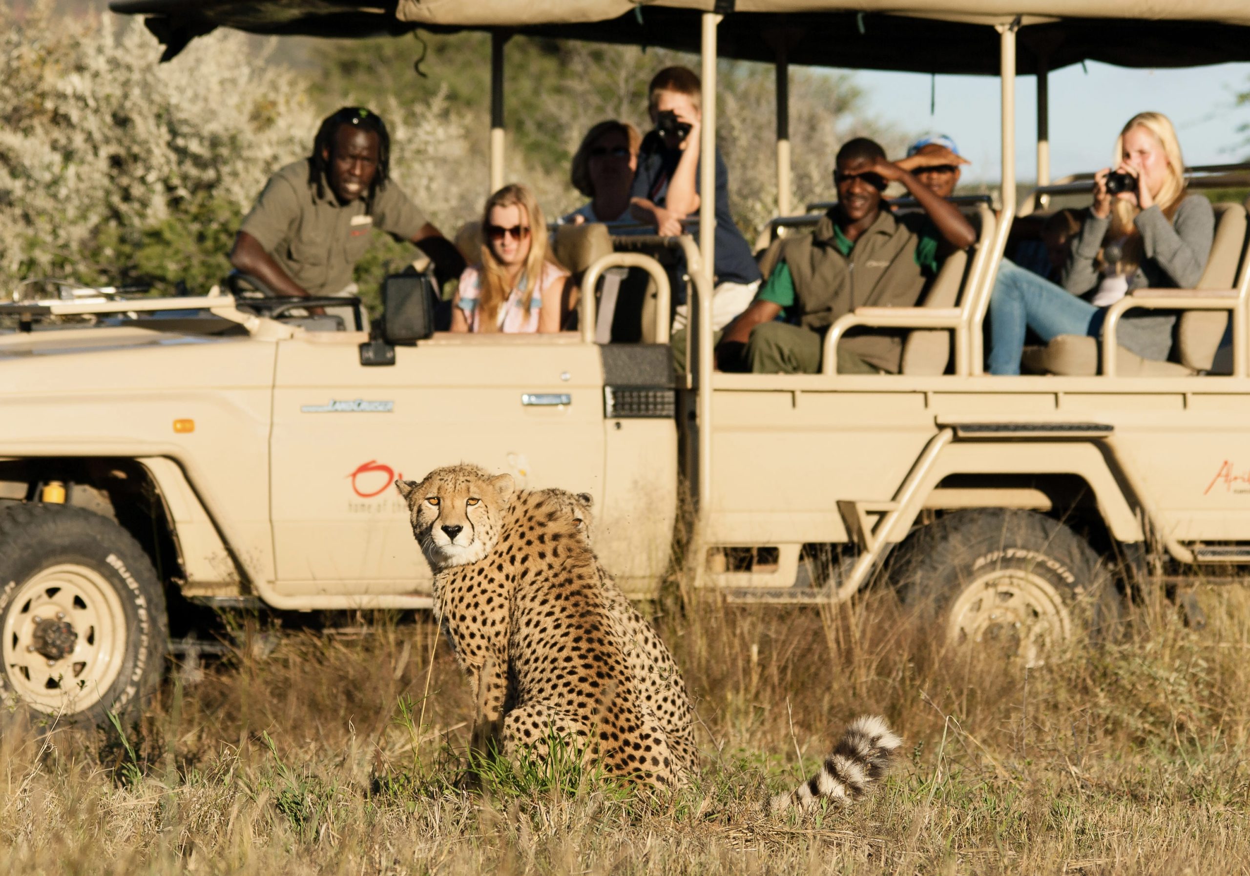 Central Namibia Adventure Safari