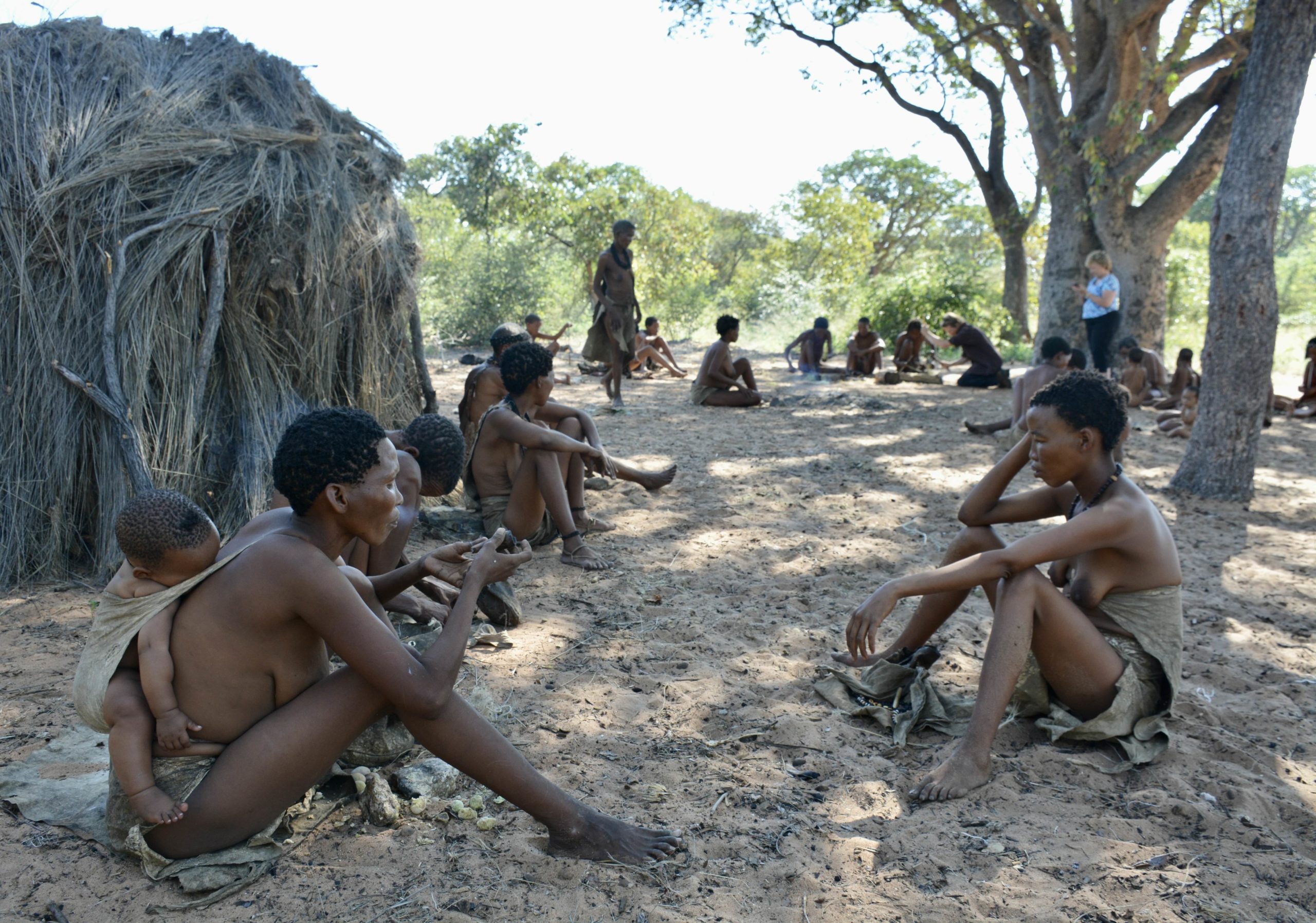 Tribes, Etosha National Park, and Windhoek Safari