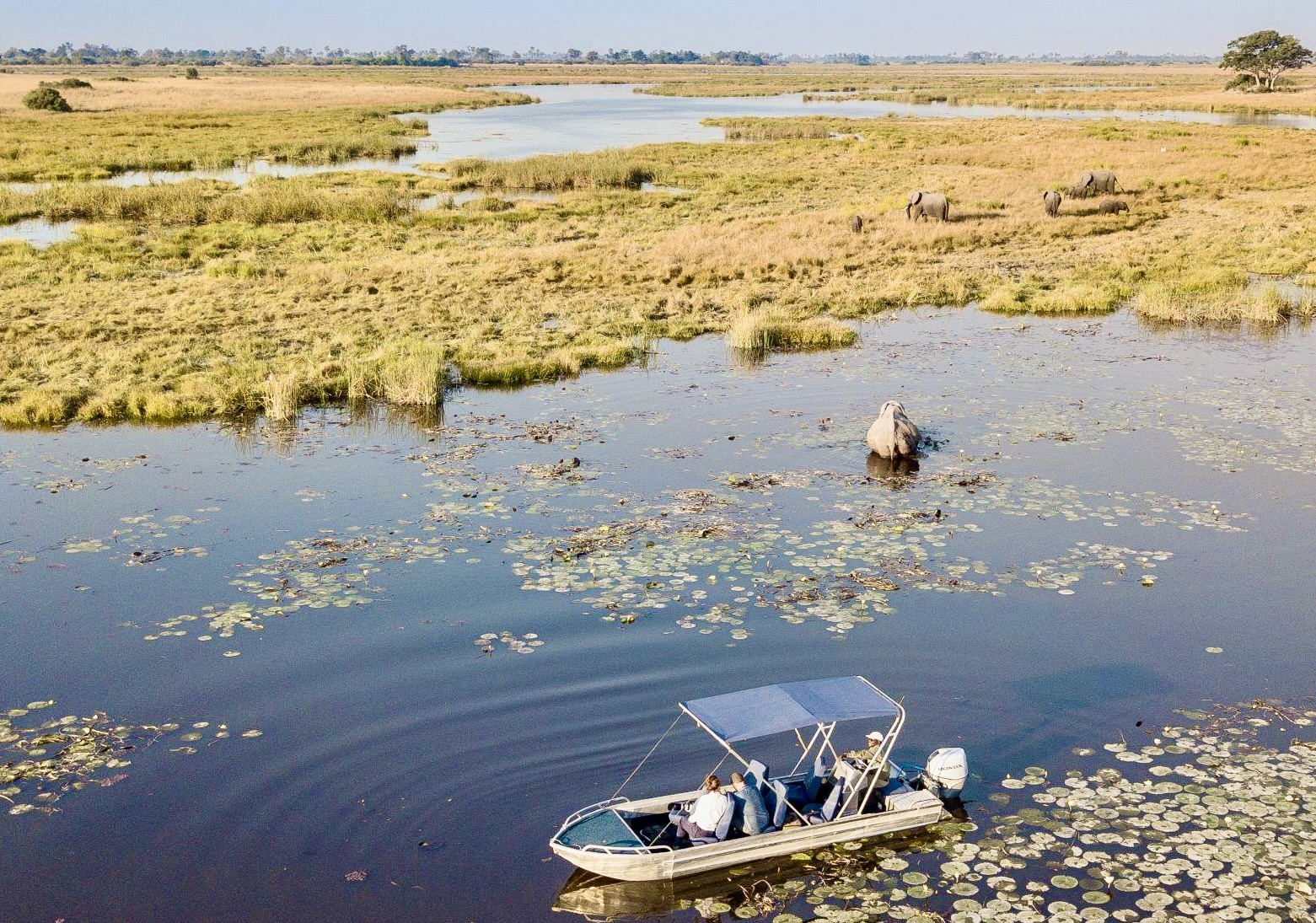 Botswana and Zimbabwe Safari