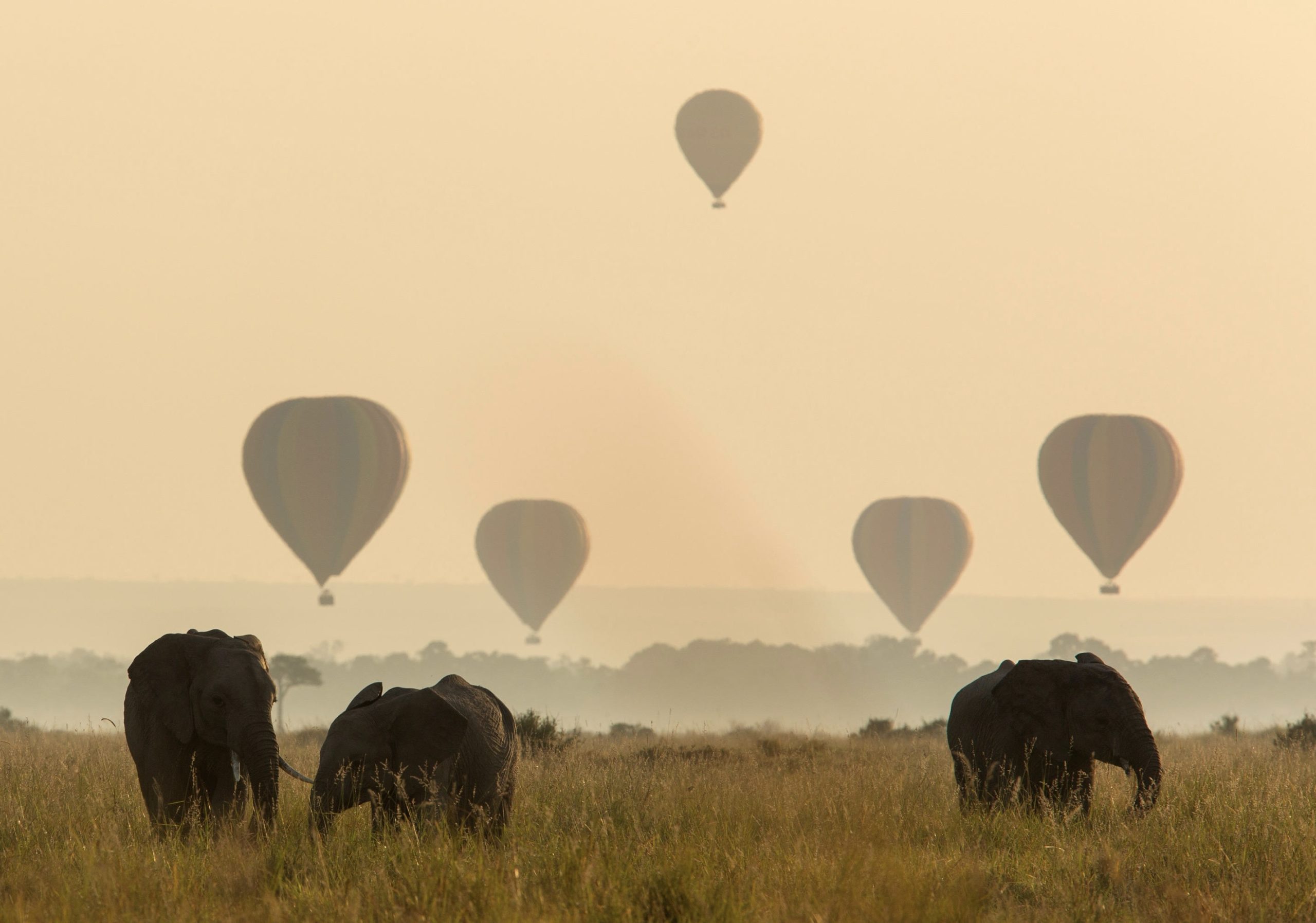 Ultimate Kenyan Safari