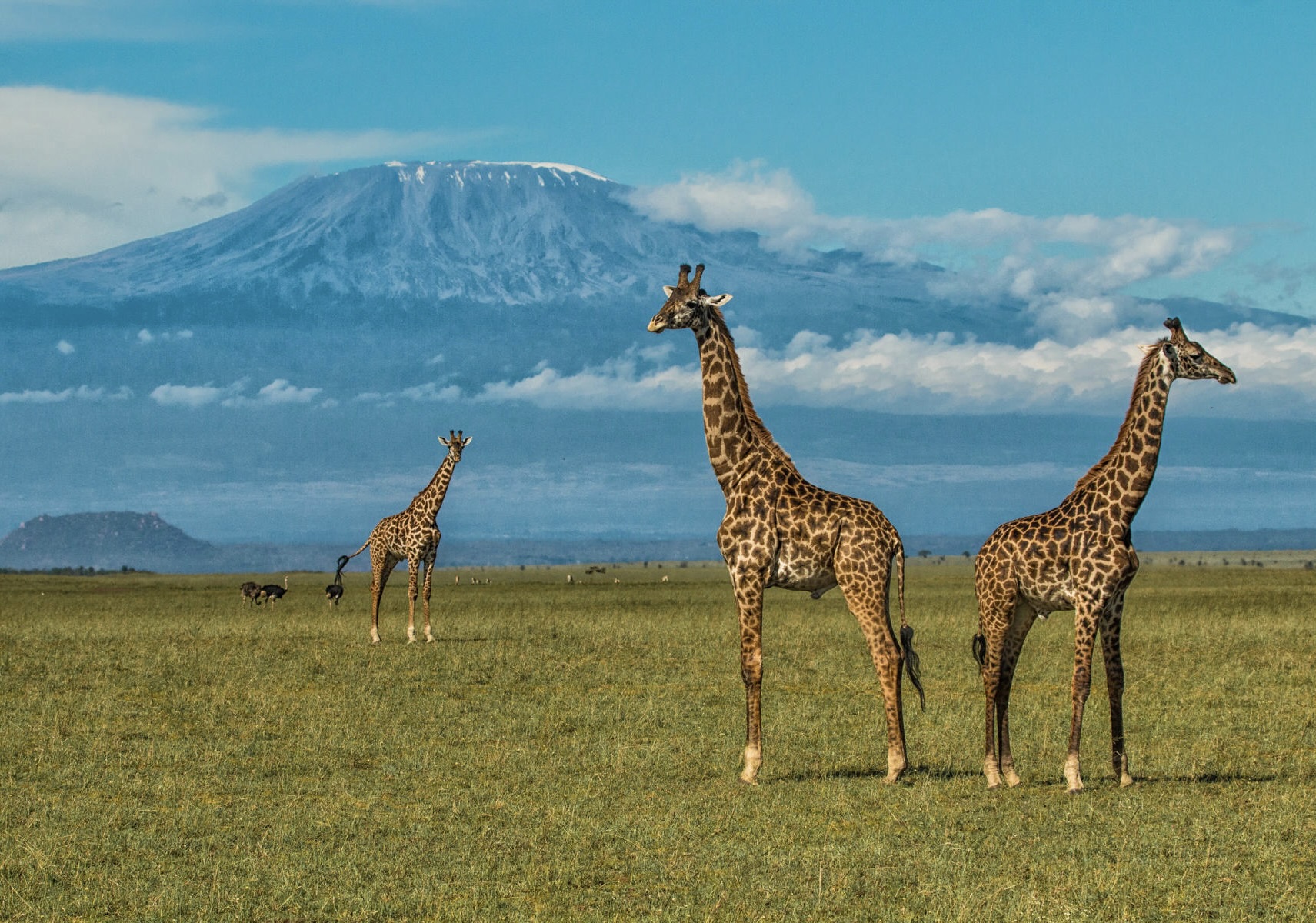 Ultimate Kenyan Safari