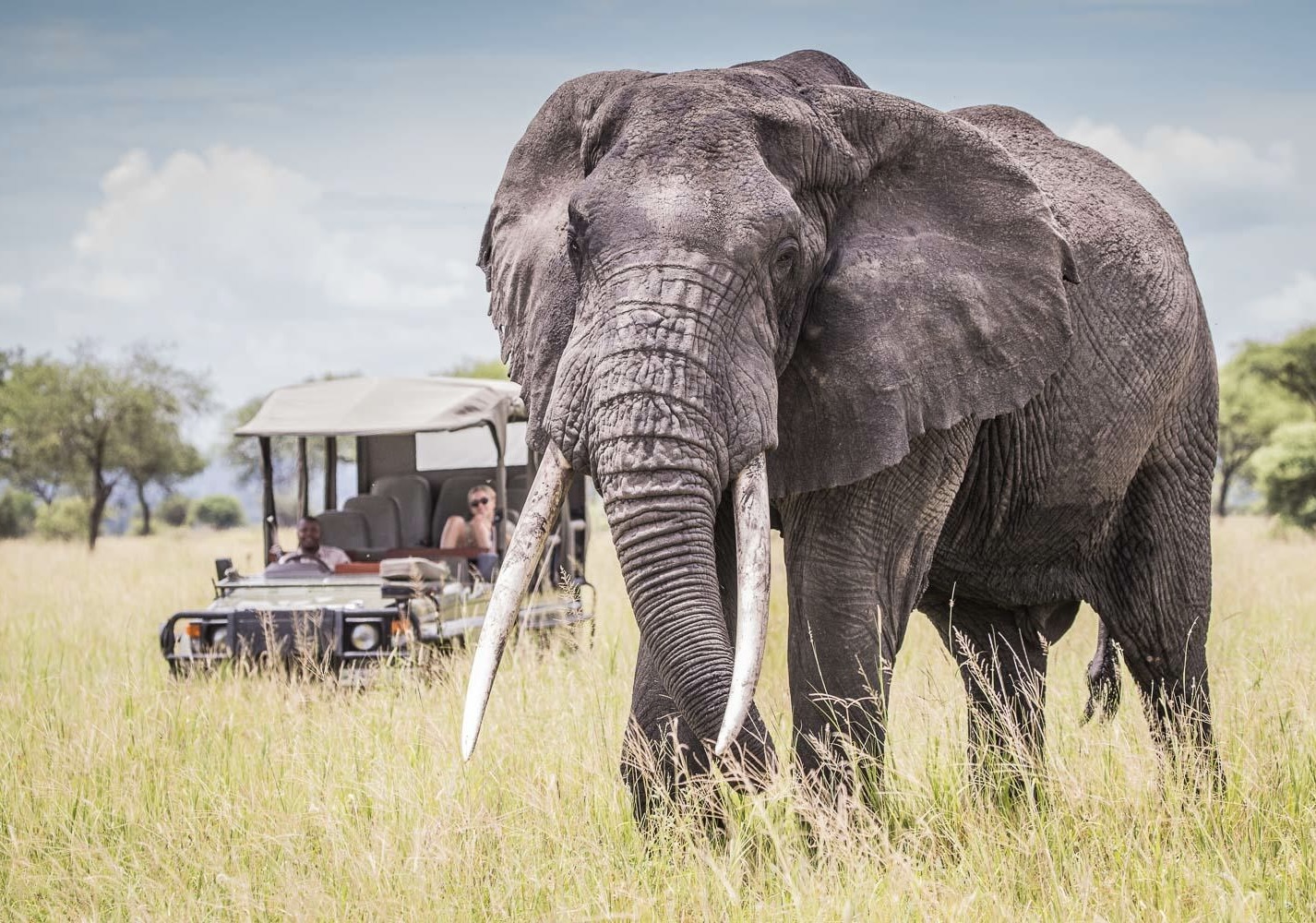 Tanzania Migration and Beach Safari