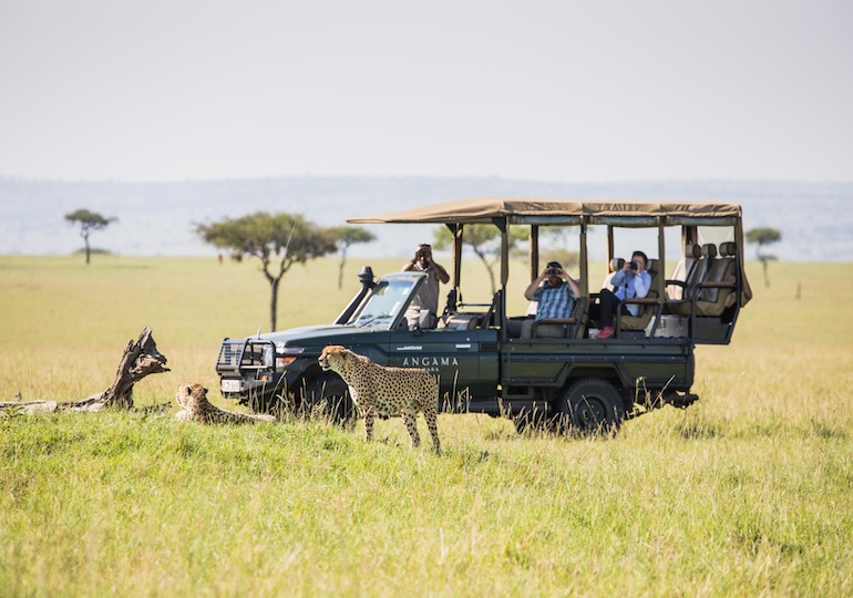 Classic East African Safari