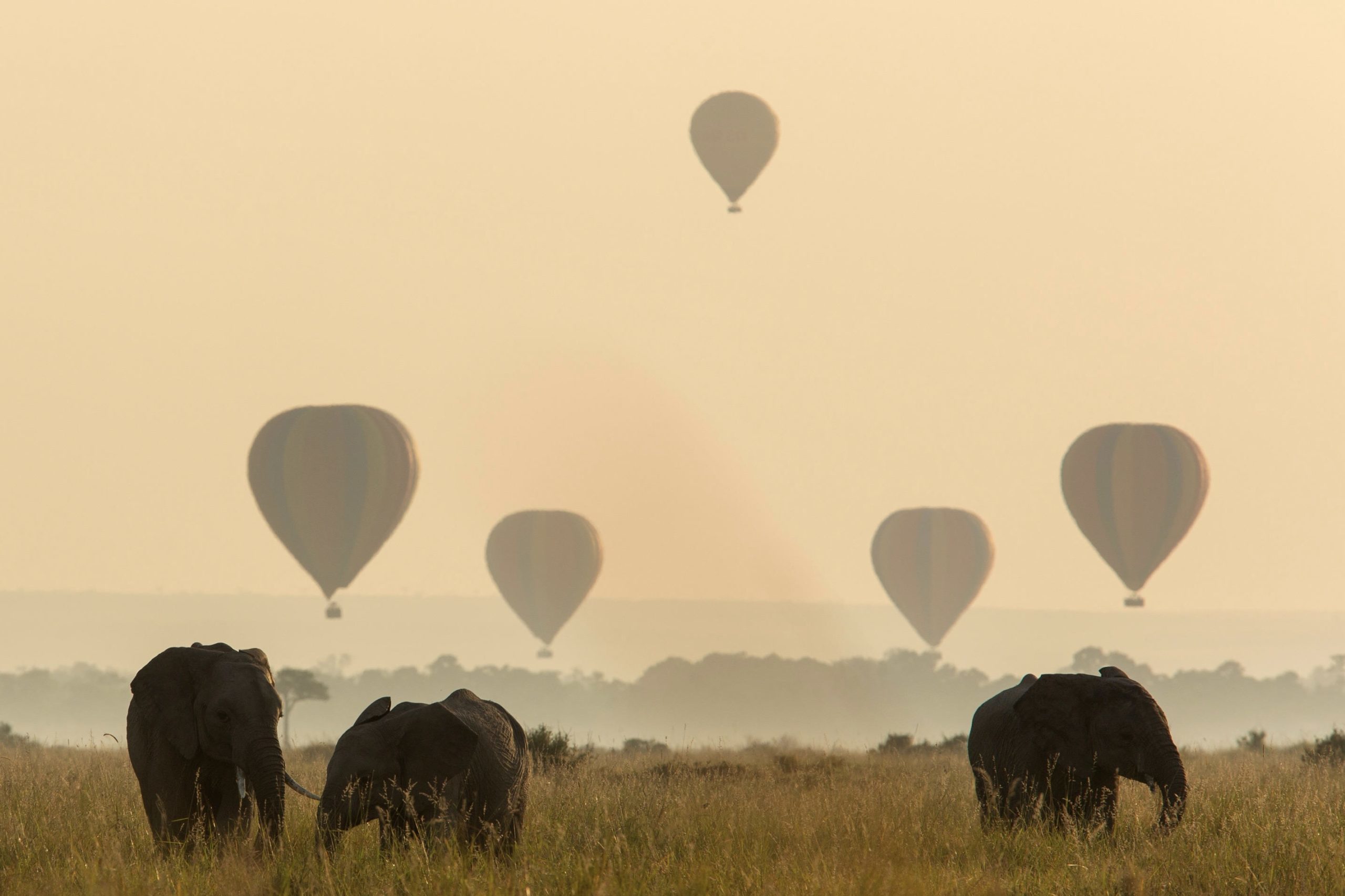 The Tribes of East Africa Safari