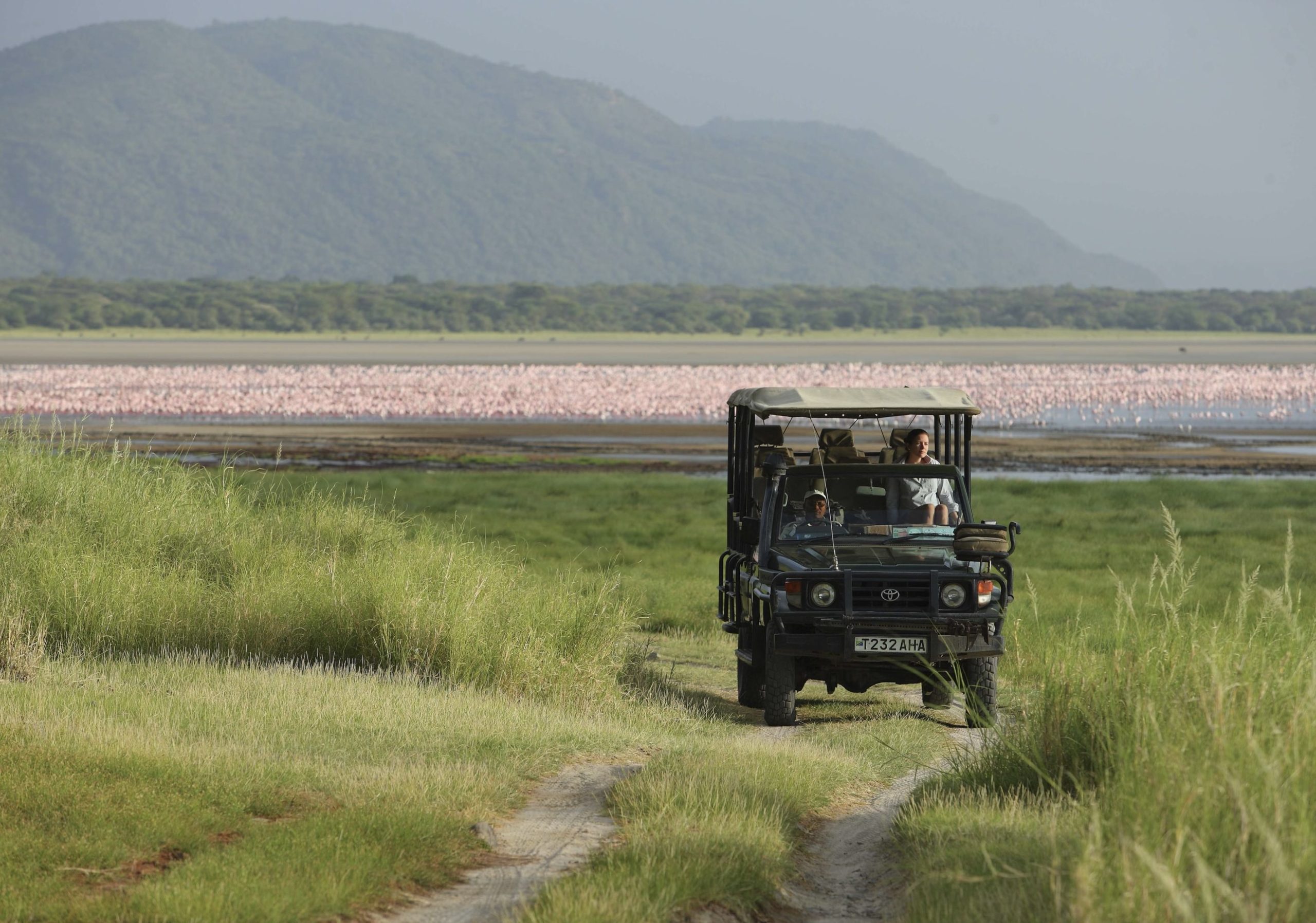 The Great East African Safari