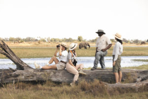 Family Safari in Botswana