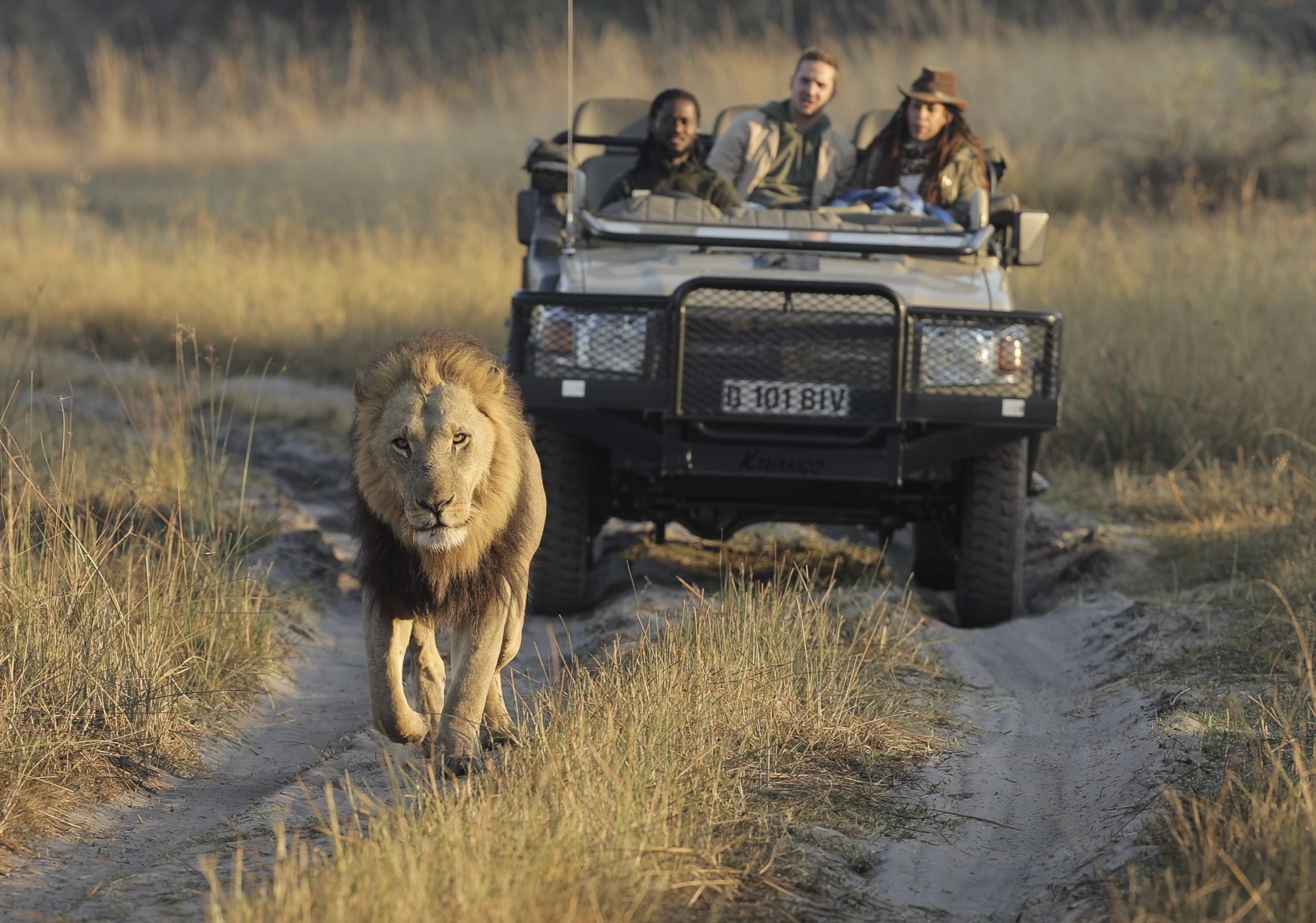 Family Safari in Botswana